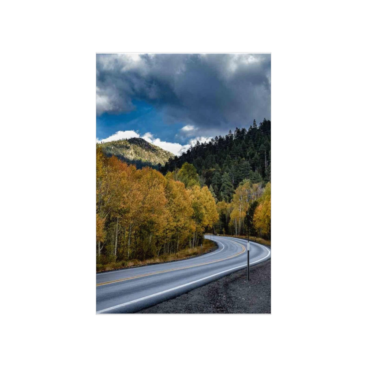 Cruising Hope Valley in Fall -Premium Matte Vertical Posters