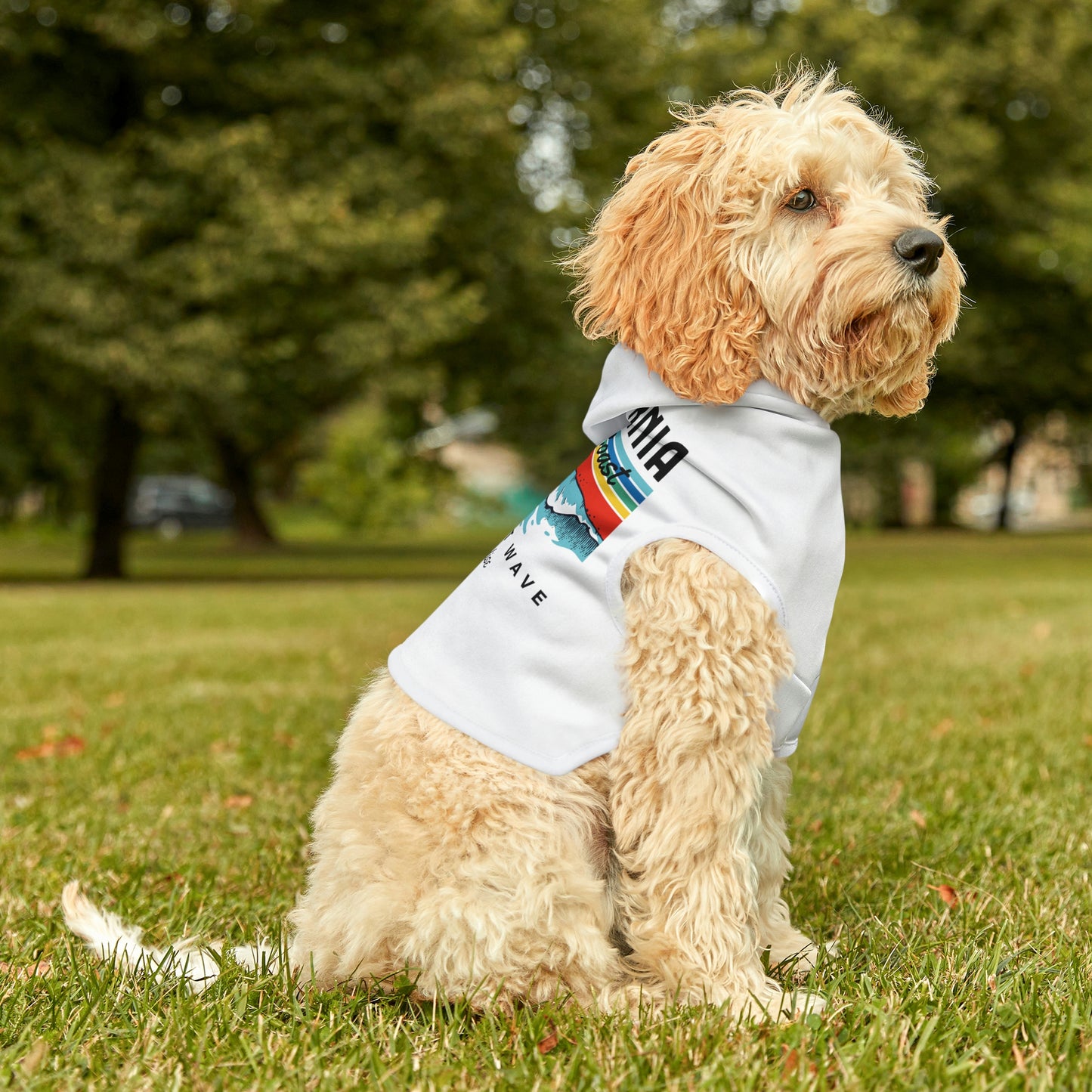 Cool California Dog Hoodie