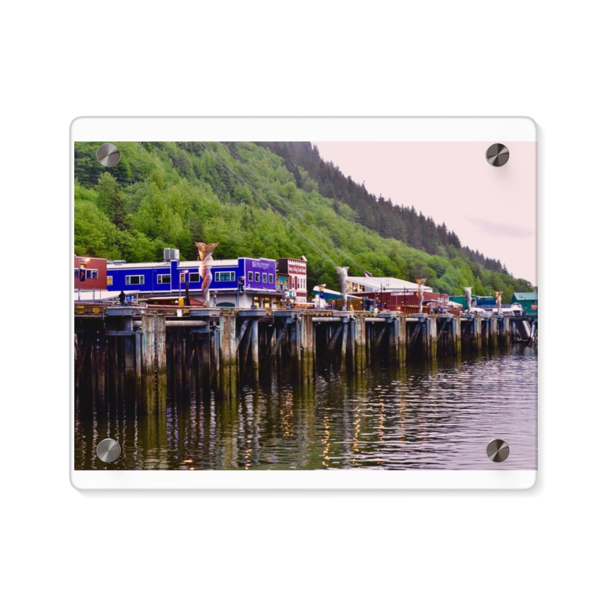 From glacier viewing to to whale watching, there is something for everyone in Juneau. This photograph is of the docks around Juneau Port.