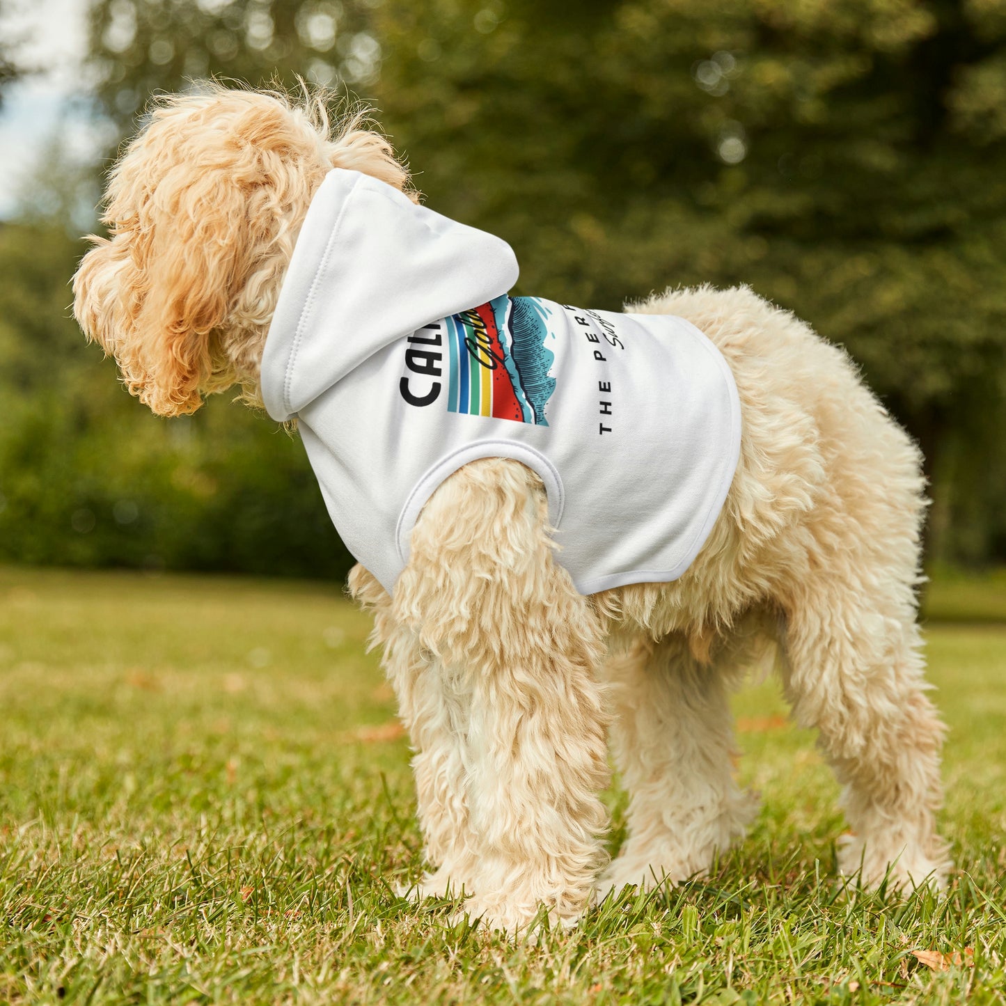 Cool California Dog Hoodie