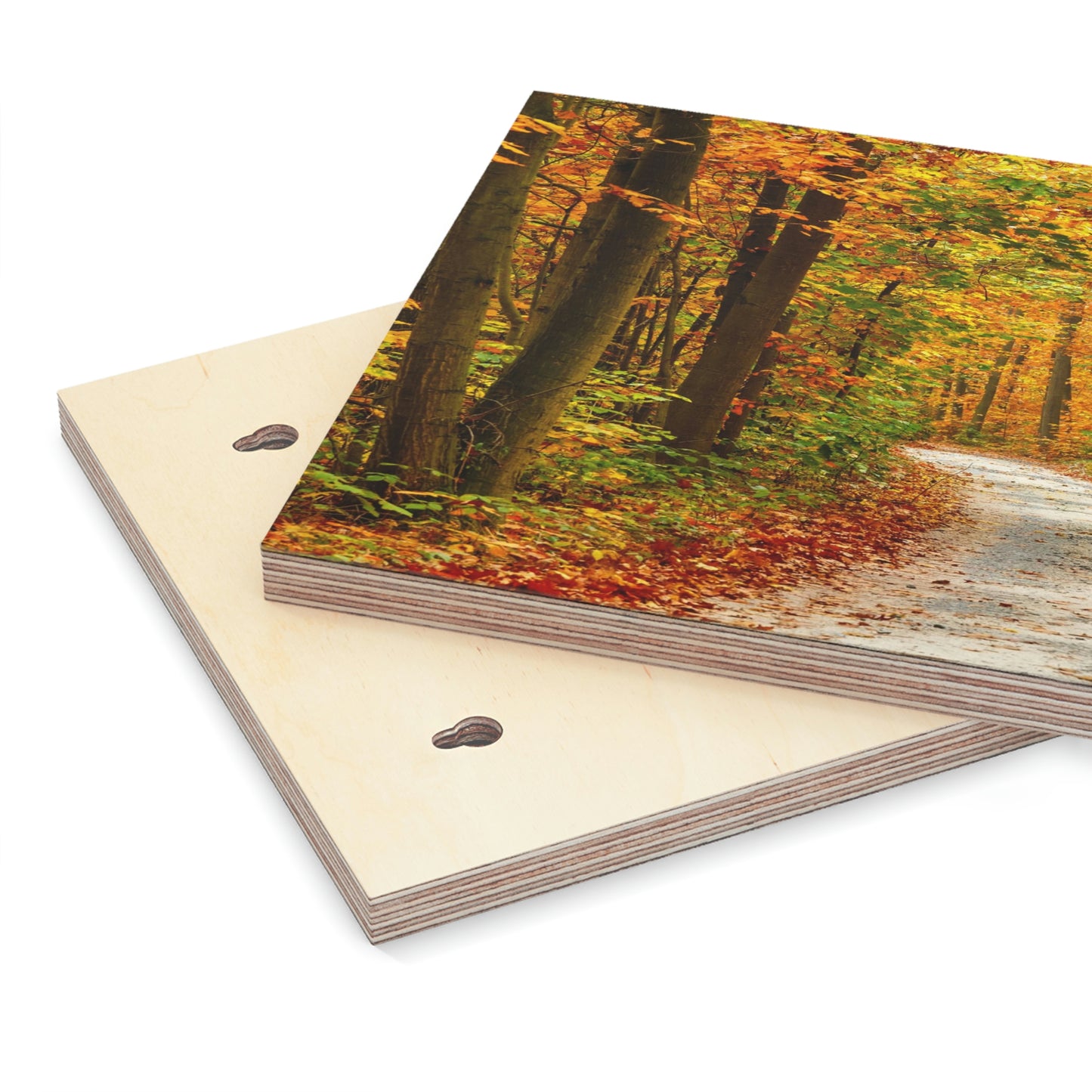 Fall Colors by the Road- Wood Canvas